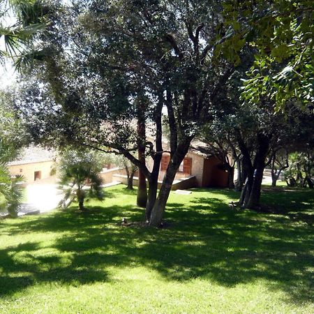 Hotel Rural Son Terrassa Cas Concos Стая снимка